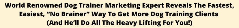 Google Ads For Dog Trainers