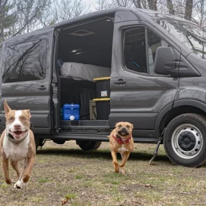 All+Dogs+By+The+Van+Running-1-
