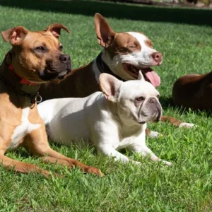 We+have+alot+of+questions