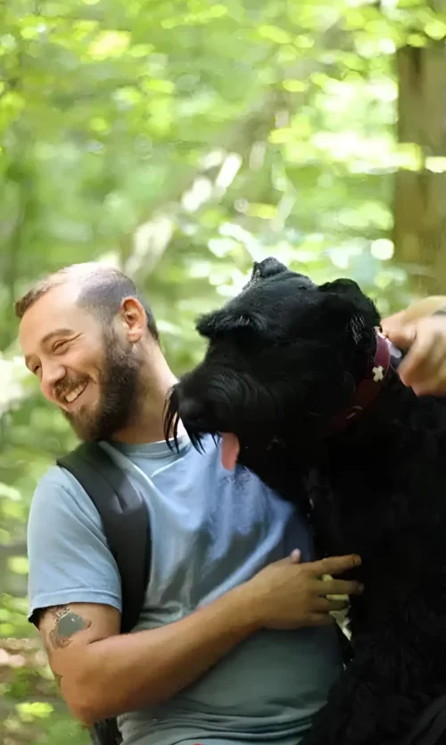 why-choose-ldc-500-x-850-px-Picsart-AiImageEnhancer